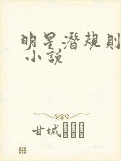 明星潜规则之皇 小说