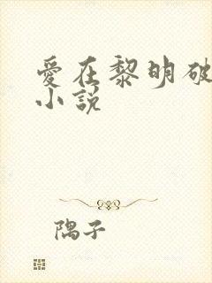 爱在黎明破晓前小说