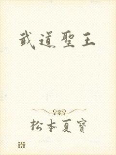 武道圣王