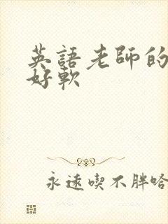 英语老师的兔子好软