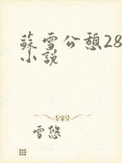 苏雪公憩28篇小说