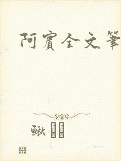 阿宾全文笔趣阁
