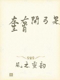 左右开弓是什么生肖