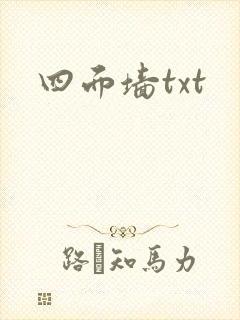 四面墙txt