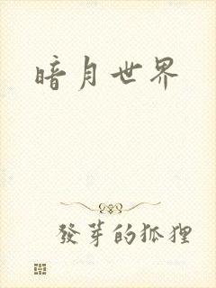 暗月世界