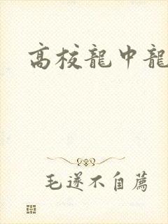 高校龙中龙