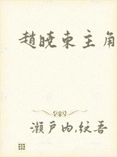 赵晓东主角小说