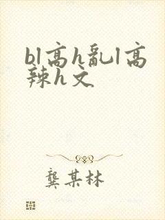 bl高h乱l高辣h文