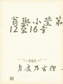 翁与小莹第十部12至16章