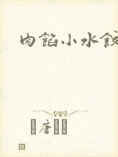 肉馅小水饺小说封面