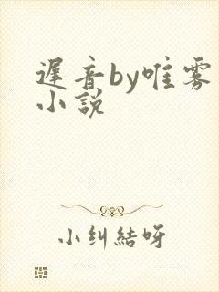 迟音by唯雾的小说