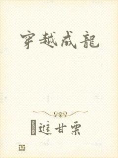 穿越成龙
