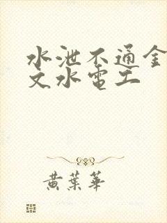 水泄不通金银原文水电工