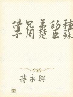 借兄弟的种生孩子周楚臣苏糖