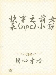 快穿之前女友归来(npc)小说免费阅读