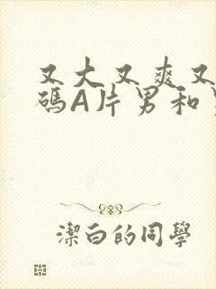 又大又爽又黄无码A片男和男