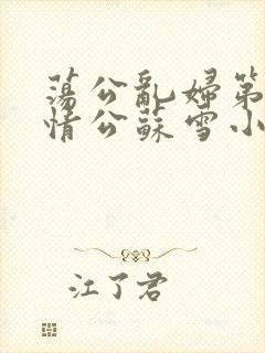 荡公乱妇第1章情公苏雪小说