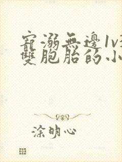 宠溺无边1v3双胞胎的小说