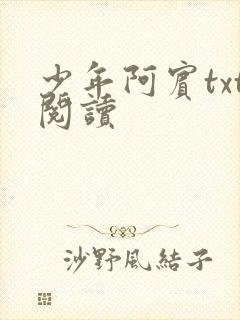 少年阿宾txt阅读
