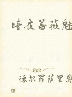 暗夜蔷薇魅