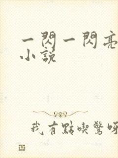 一闪一闪亮星星小说