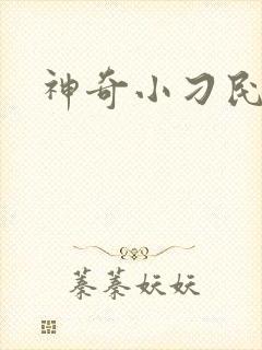 神奇小刁民