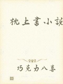 枕上书小说