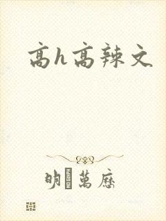 高h高辣文