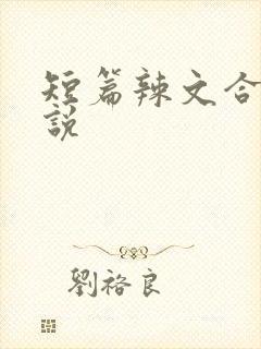 短篇辣文合集小说