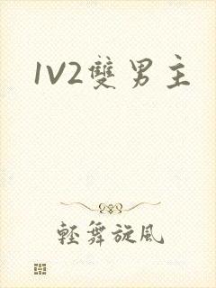 1V2双男主