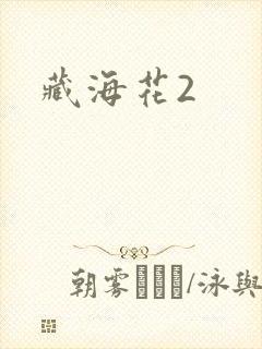 藏海花2
