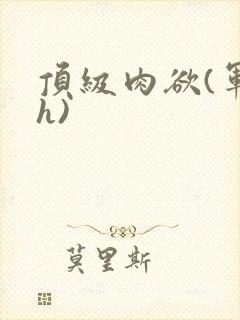 顶级肉欲(军高h)