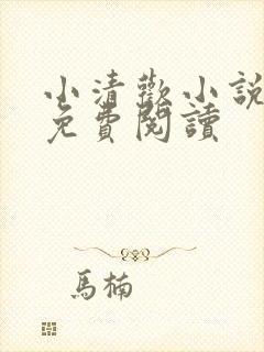 小清欢小说全文免费阅读