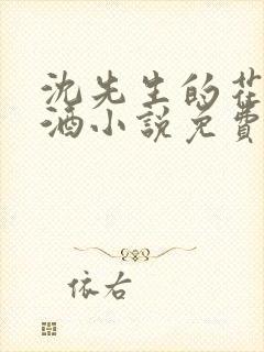 沈先生的花式调酒小说免费阅读