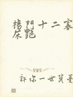 杨门十二寡妇肉床艳