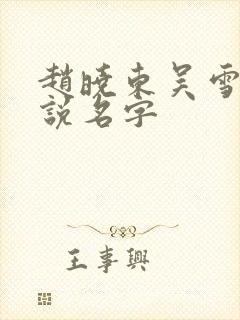 赵晓东吴雪晴小说名字