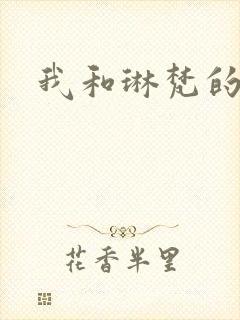 我和琳梵的故事