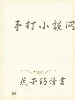 手打小说网