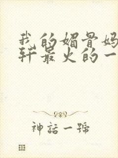 我的媚骨妈妈林轩最火的一句