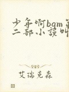 少年啊bgm第二部小说叫什么