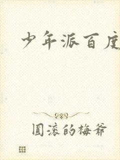 少年派百度百科