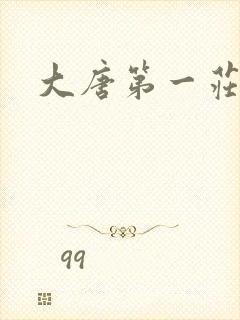 大唐第一庄