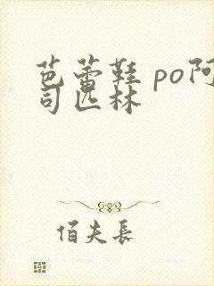 芭蕾鞋 po阿司匹林