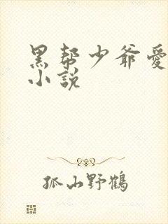 黑帮少爷爱上我小说
