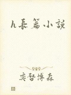 h长篇小说