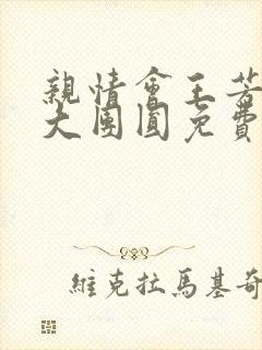 亲情会王芳高敏大团圆免费阅读