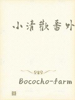 小清欢番外