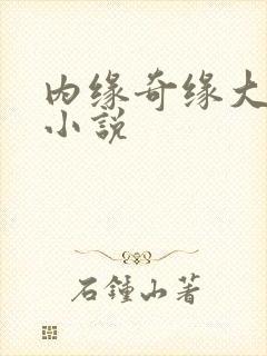 内缘奇缘大团圆小说
