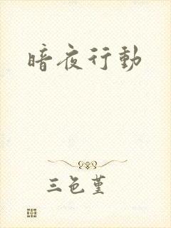 暗夜行动