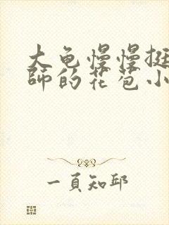 大龟慢慢挺进老师的花苞小说